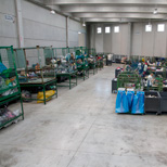Azienda